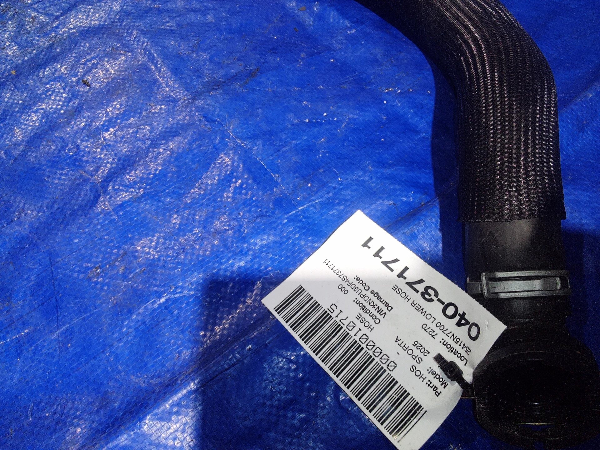 Lower Hose · 2