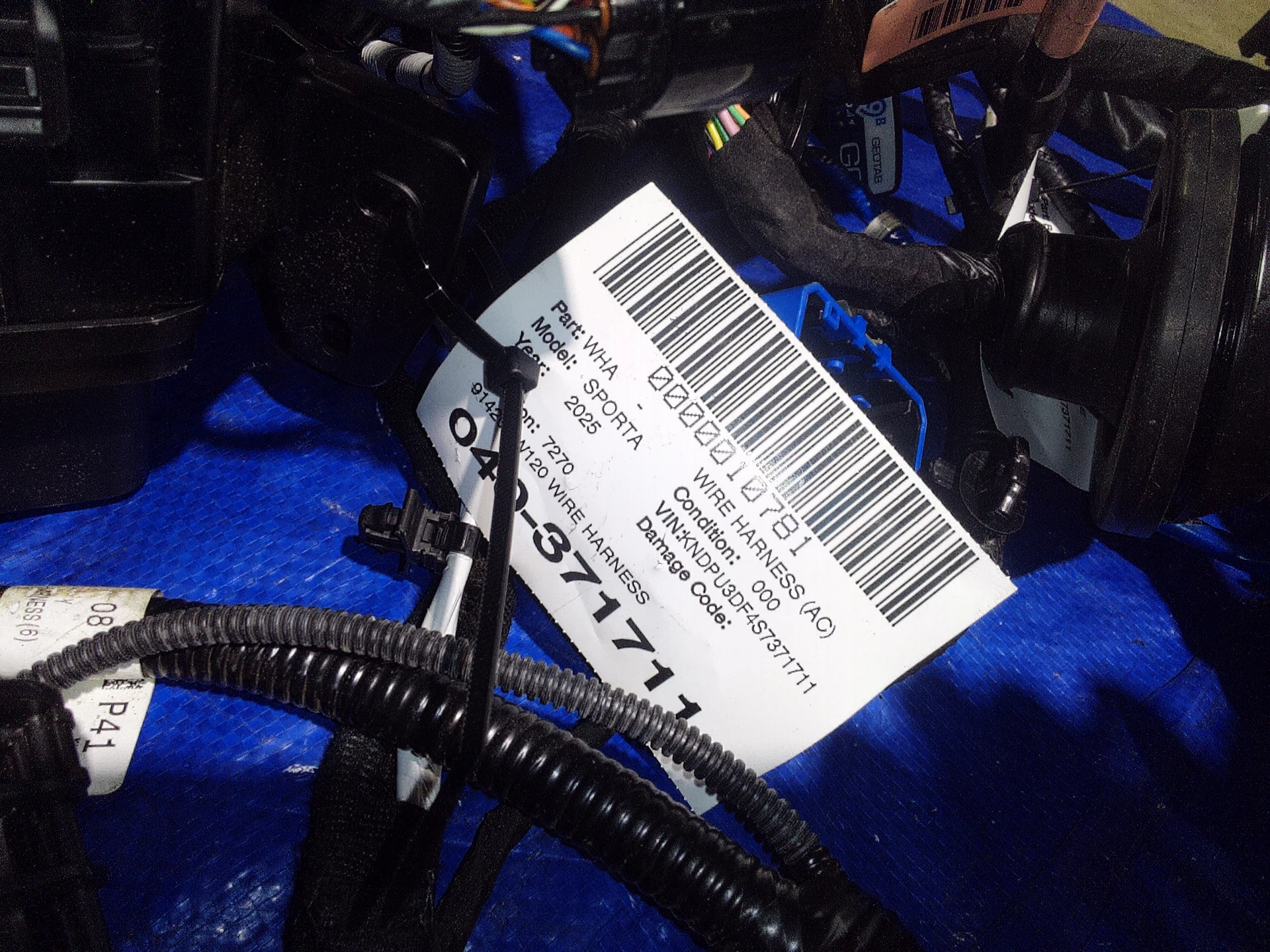 Wire Harness · 2