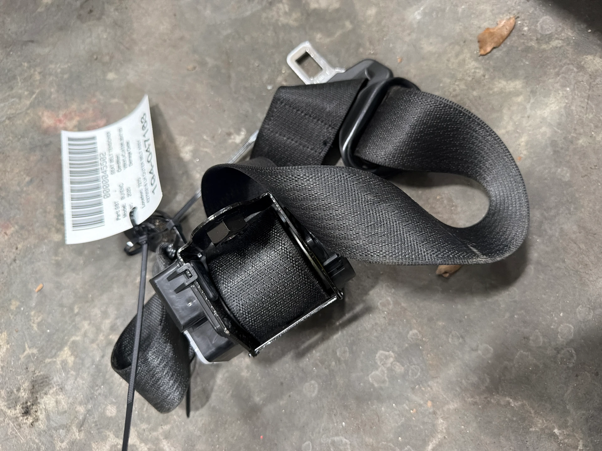 Lh Outer Belt Assy · 1