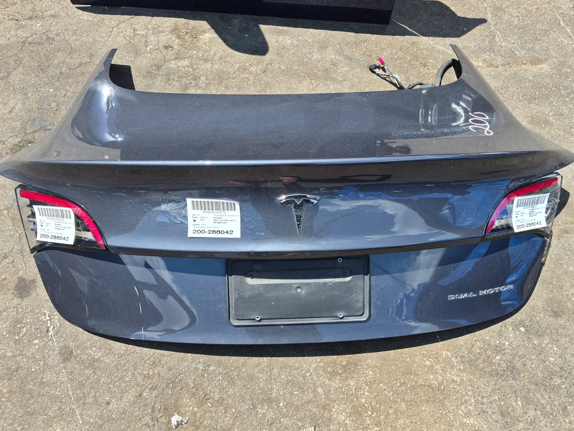 Trunk Assy · 1