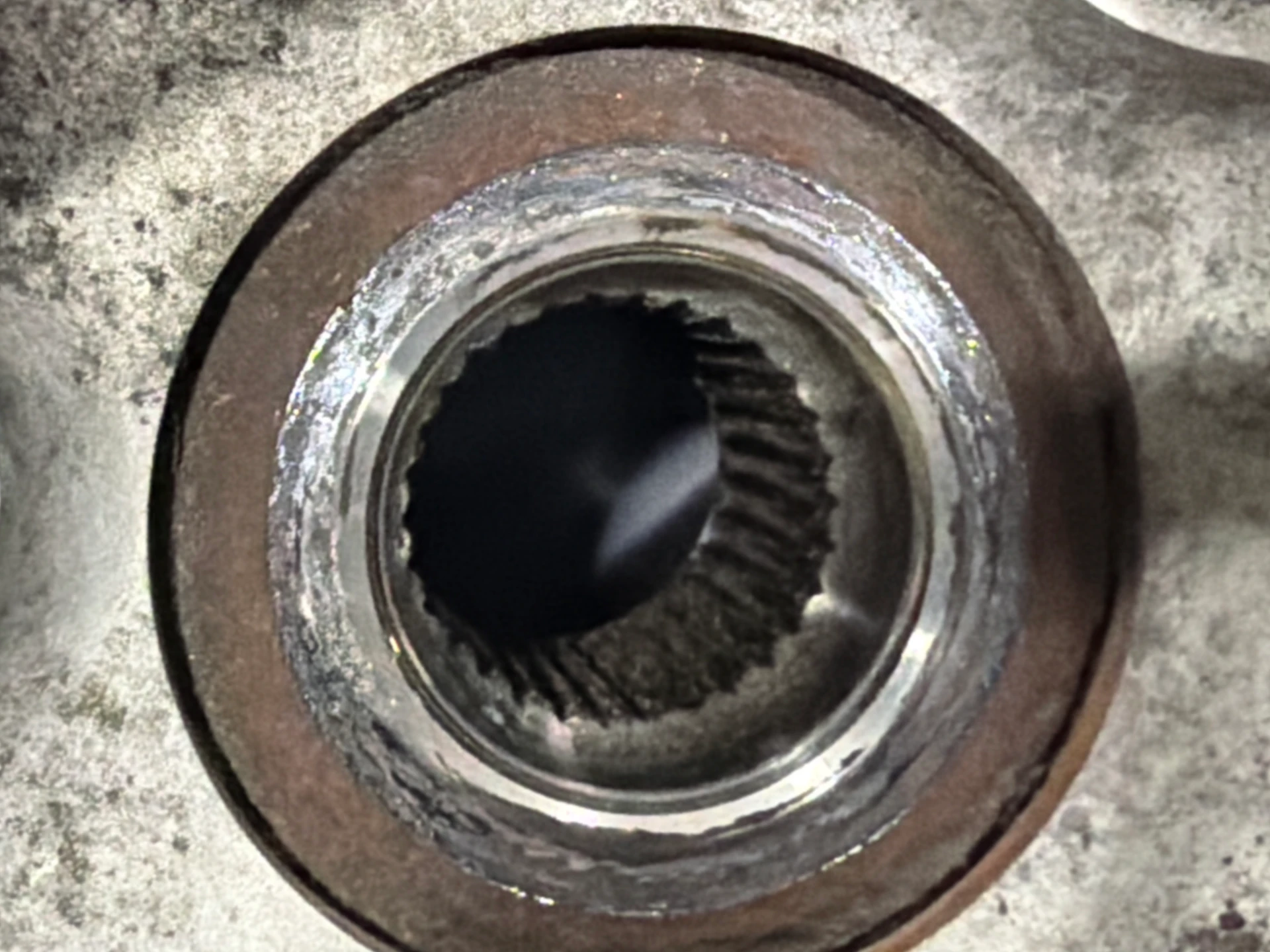 Hub 142mm Flange · 1