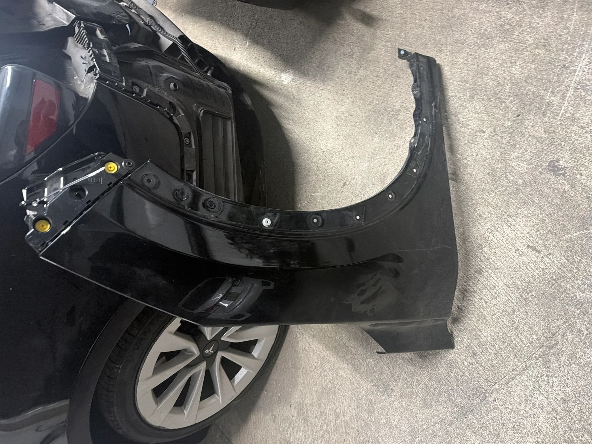 Rh Fender · 1