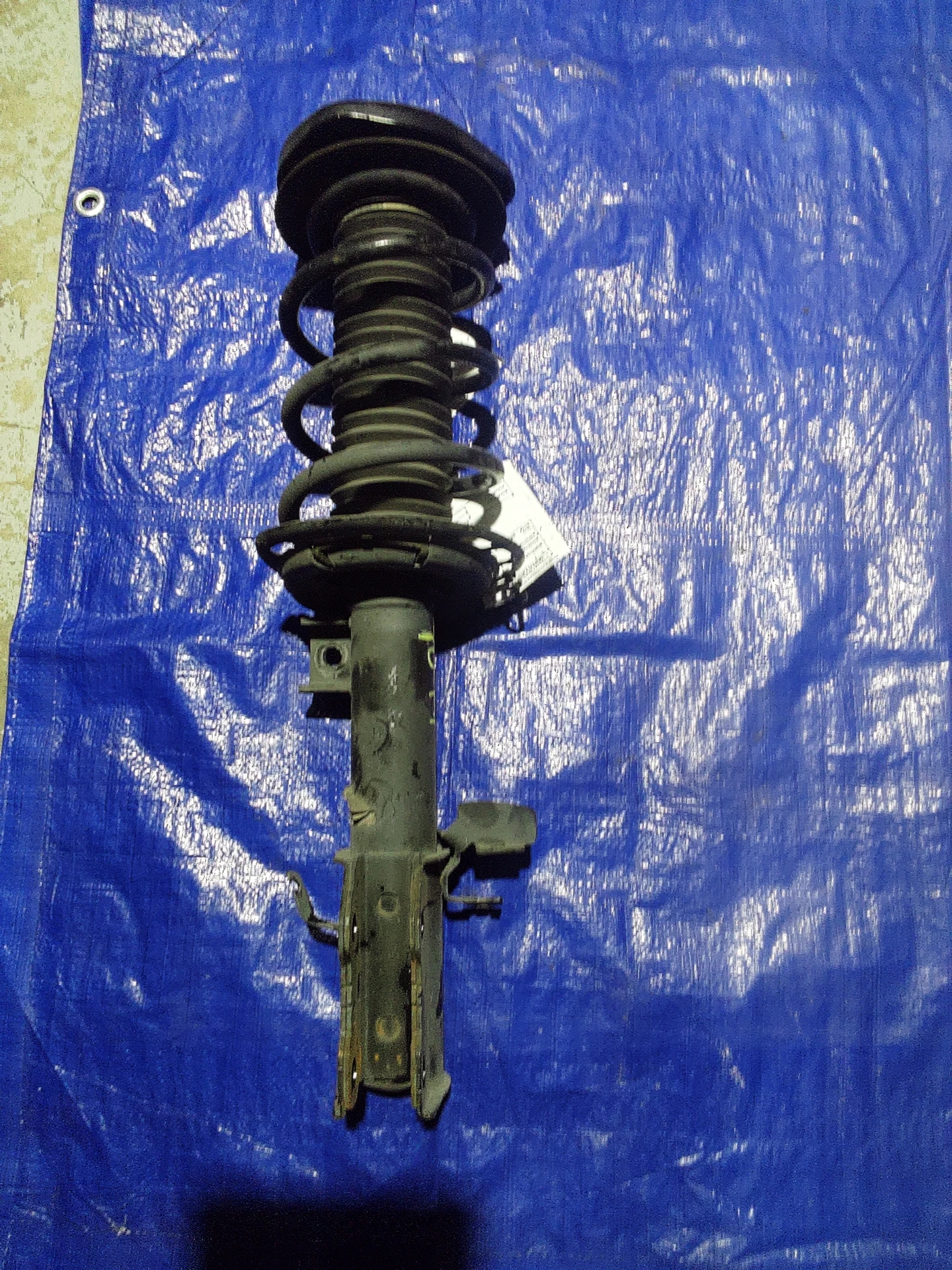 Front Spring · 1