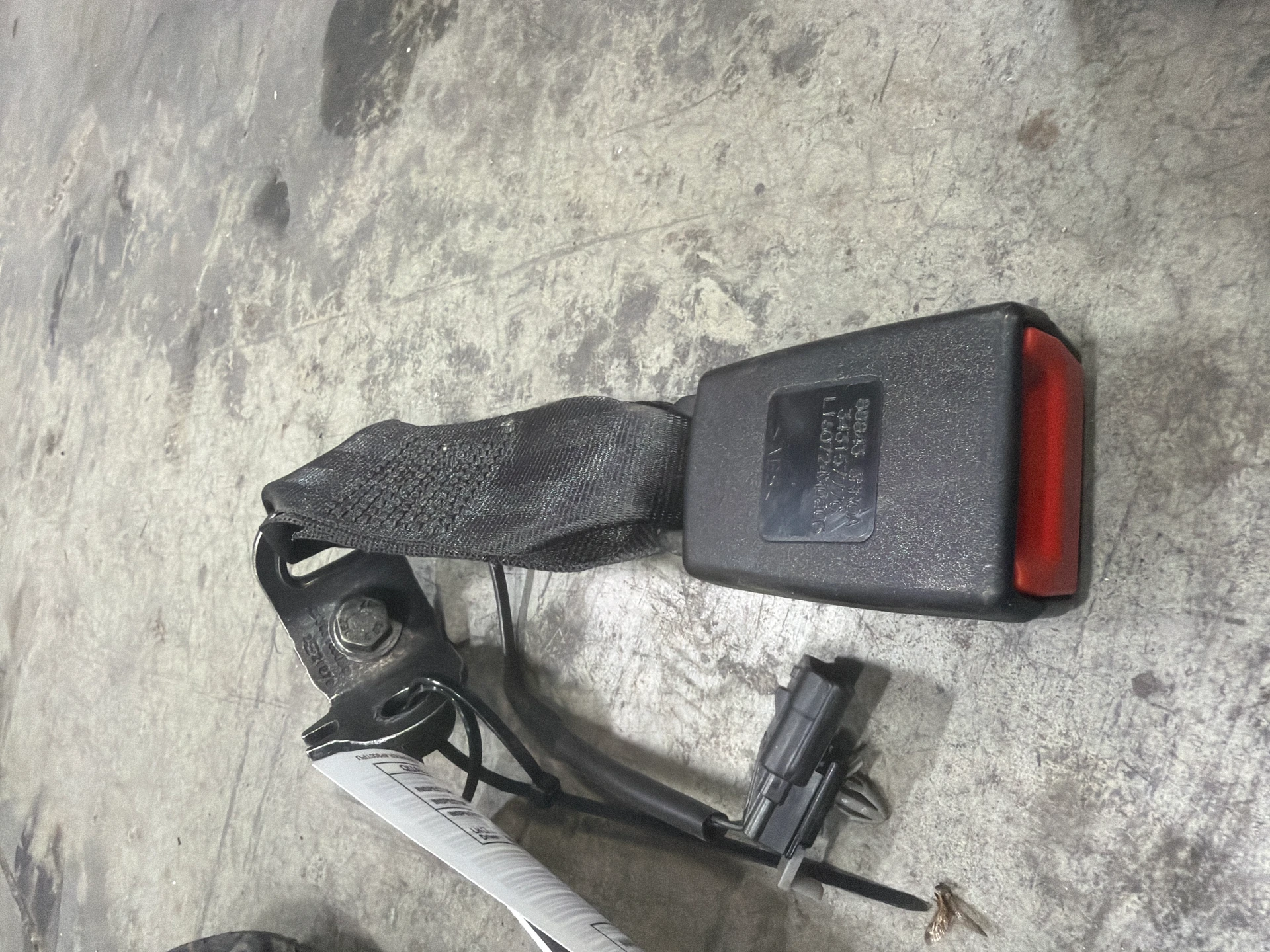 Lh Buckle · 1