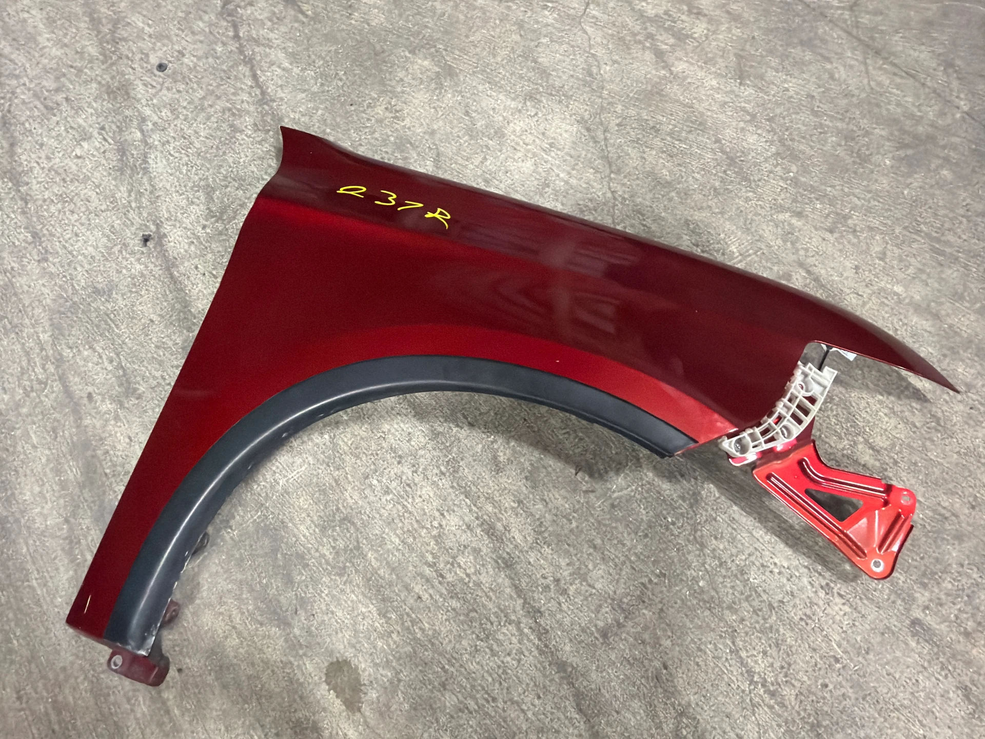 Rh Fender · 1