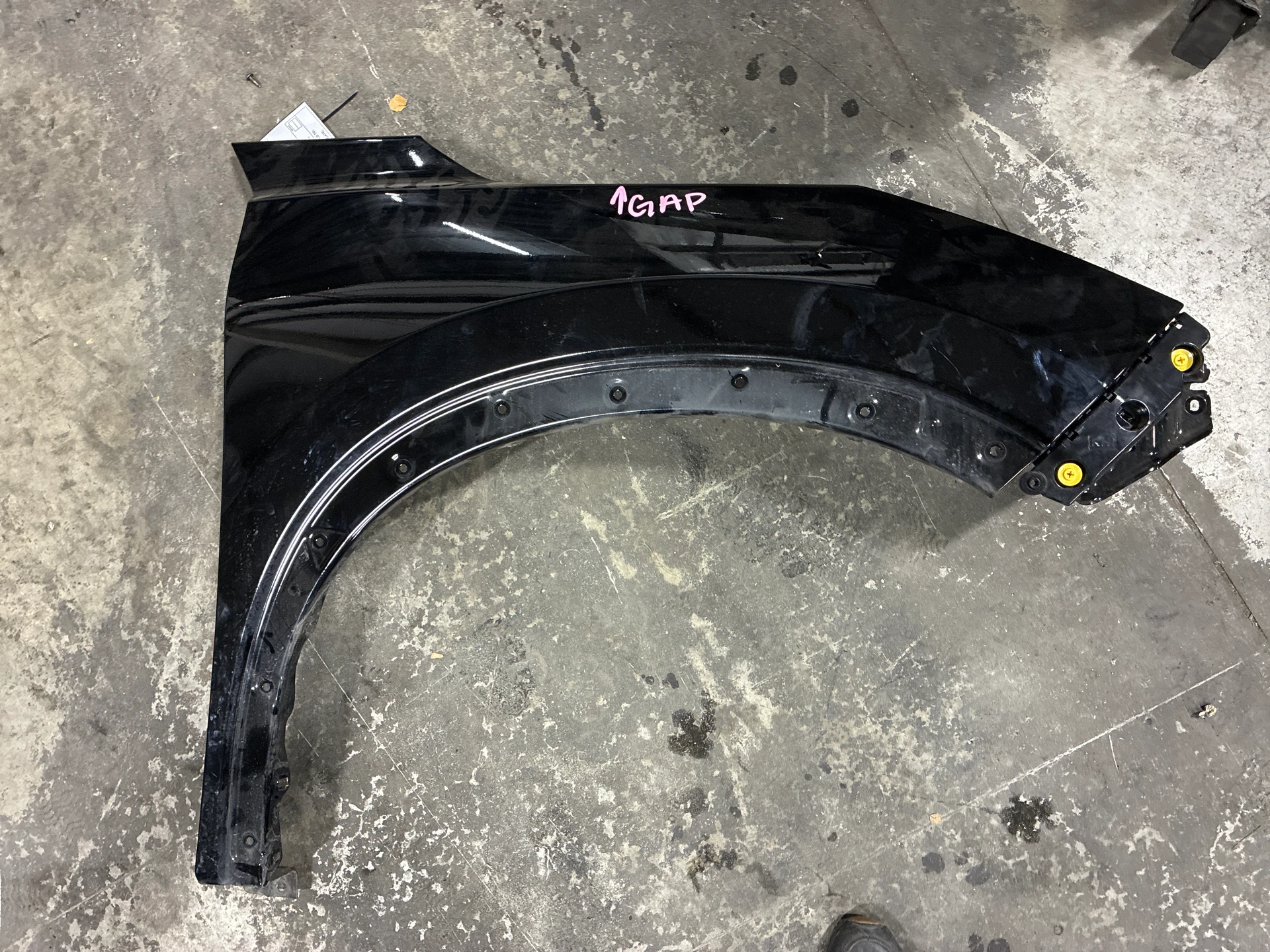 Rh Fender · 1