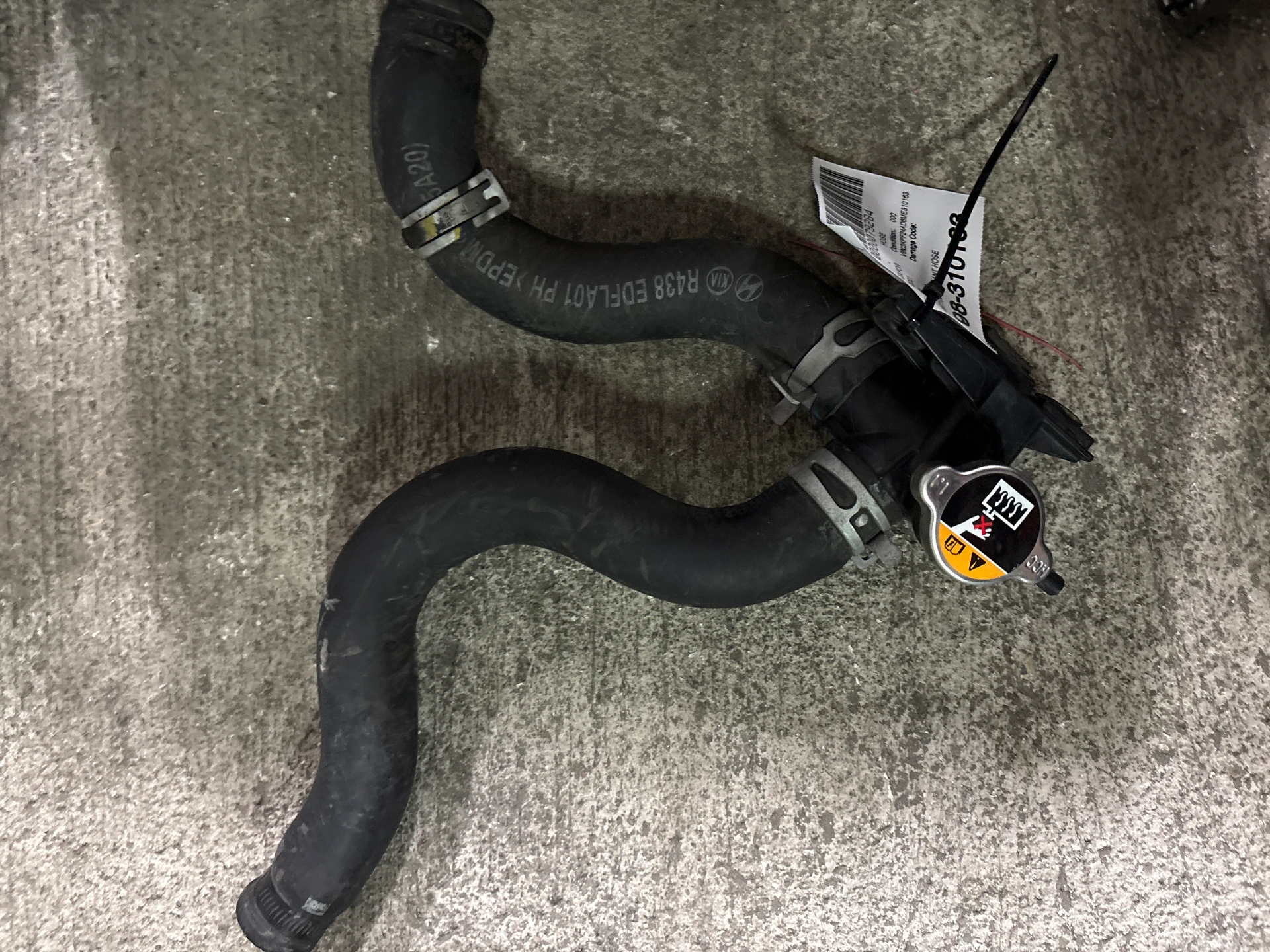 Coolant Hose · 1