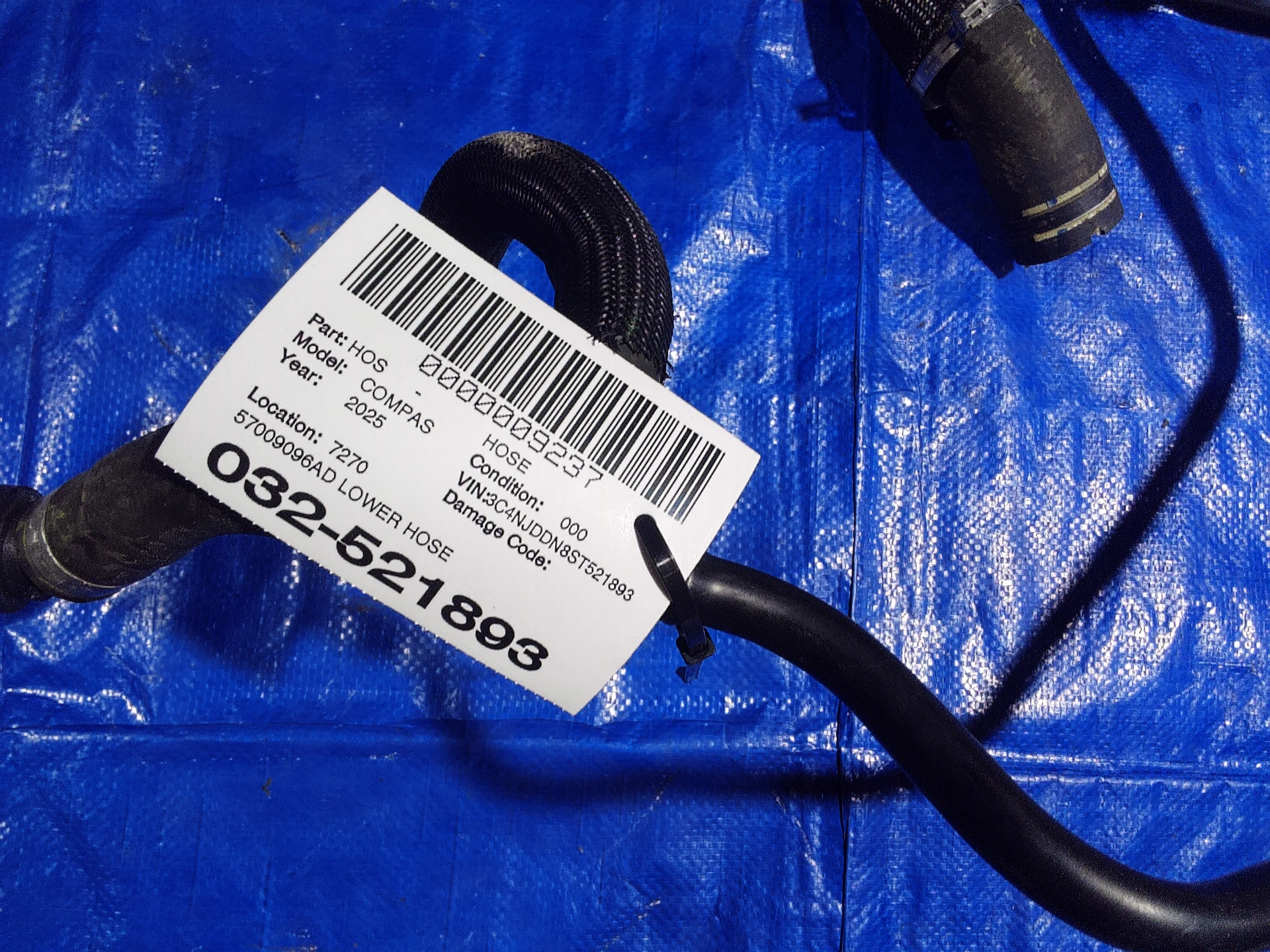 Lower Hose · 2