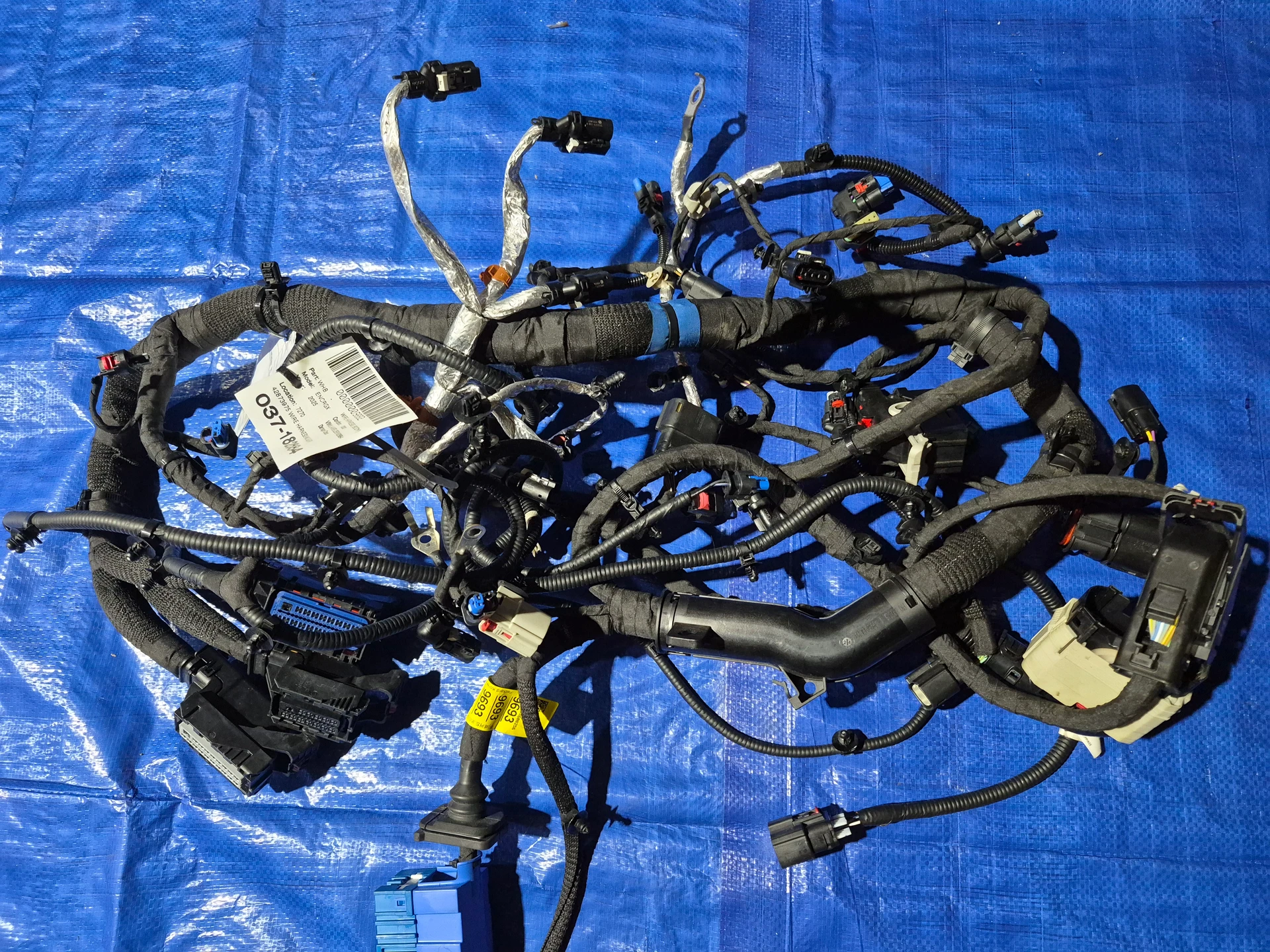 Wire Harness w/o Surround View Alarm Sensor Wiring · 1